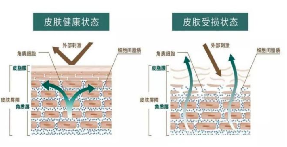 PDRN,恒昱PDRN,PDRN原研专利,PDRN原料 ,PDRN生产,PDRN护肤,三文鱼PDRN,HYPDRN