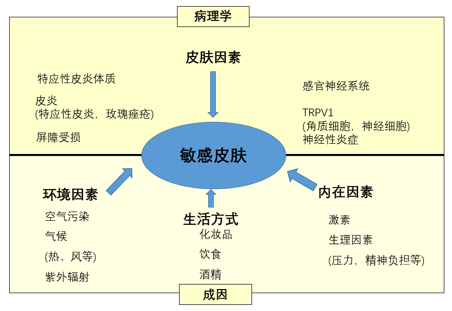 PDRN,恒昱PDRN,PDRN原研专利,PDRN原料 ,PDRN生产,PDRN护肤,三文鱼PDRN,HYPDRN
