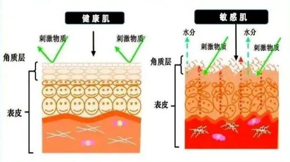 PDRN,恒昱PDRN,PDRN原研专利,PDRN原料 ,PDRN生产,PDRN护肤,三文鱼PDRN,HYPDRN