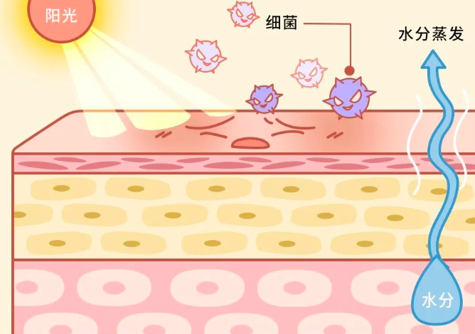 微信截图_20230613092010.png