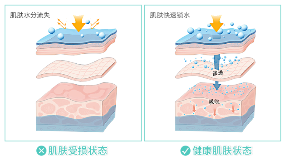 PDRN,恒昱PDRN,PDRN原研专利,PDRN原料 ,PDRN生产,PDRN护肤,三文鱼PDRN,HYPDRN,PDRN化妆品
