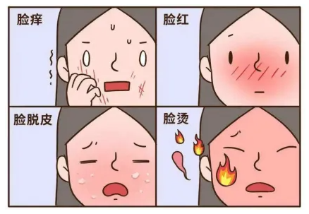 1733810904450182.png